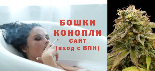 шишки Киренск