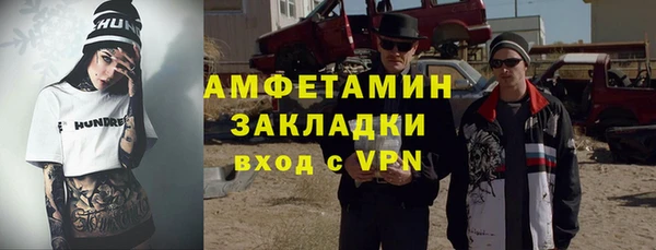 индика Абаза