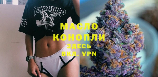 индика Абаза