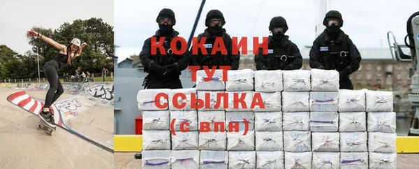 индика Абаза