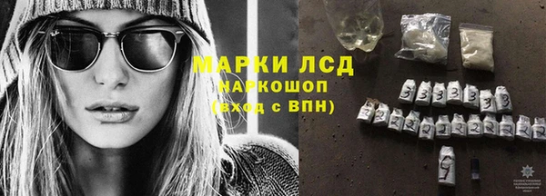 индика Абаза