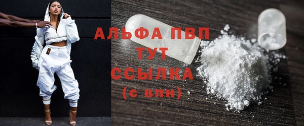 индика Абаза
