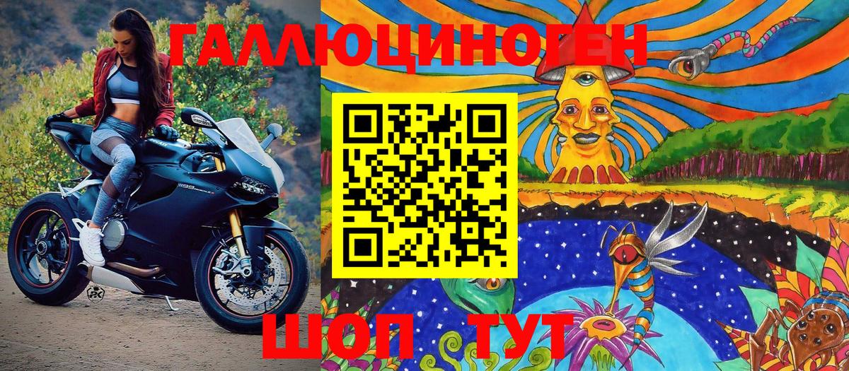 Псилоцибиновые грибы мицелий Нальчик