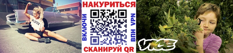 Бошки Шишки конопля  Нальчик 