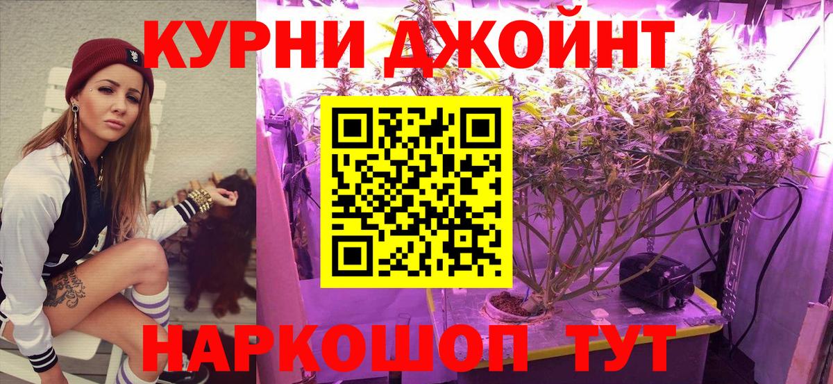 Конопля конопля Нальчик